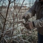 Przedwiosenne usuwanie suchych konarów – praktyczne porady dla ogrodnika